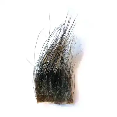 Wild Boar Hair