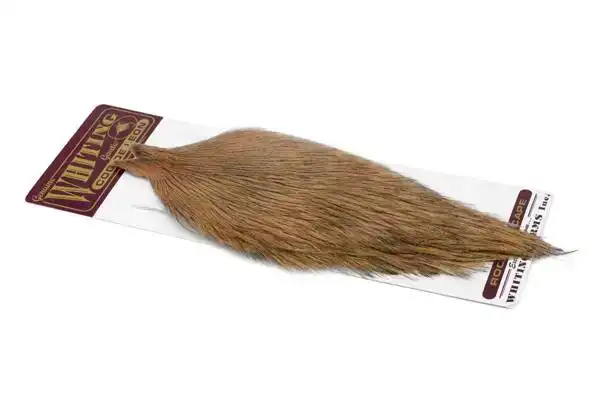 Coq de Leon Rooster Cape