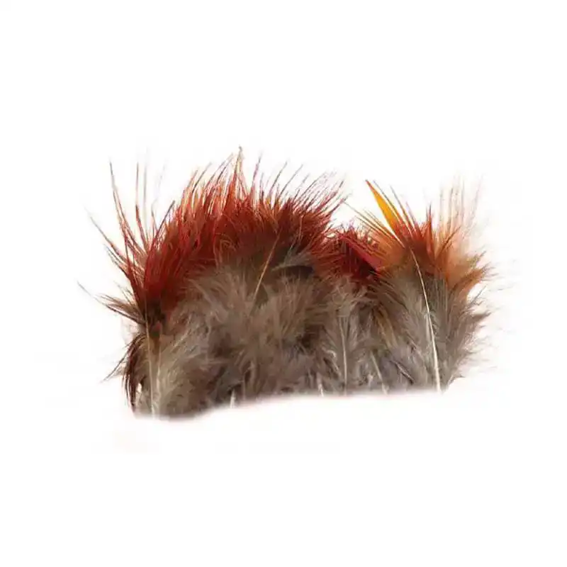 Golden Pheasant Feathers Strung - Red Feathers