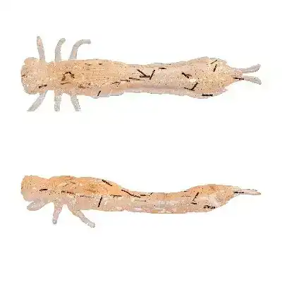 Odonata Ned Creaturebait