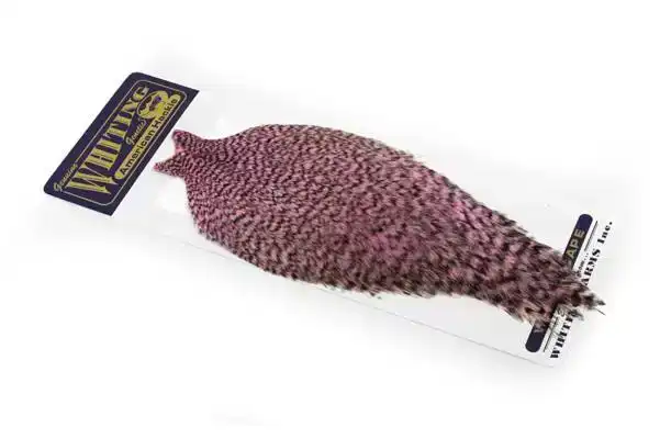 American Rooster Cape