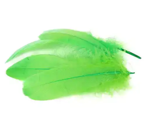 Goose Shoulder Soft Bleached