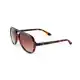 Aviator Tortoise Shell