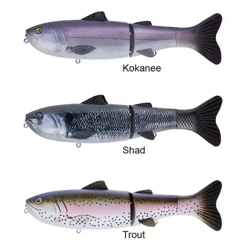 Explorer Glide Gen 2 - Kokanee