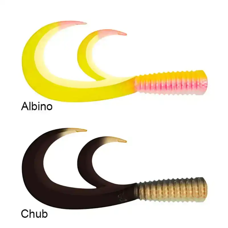 Black Tail Rooster - Albino