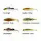 Stanley The Stickleback - 7,5 cm - Baitfish Glitter