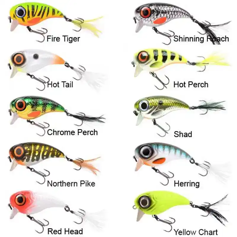 Fat Iris - 6 cm - Herring