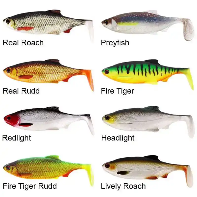 Ricky The Roach SL/ST - 10 cm - Fire Tiger