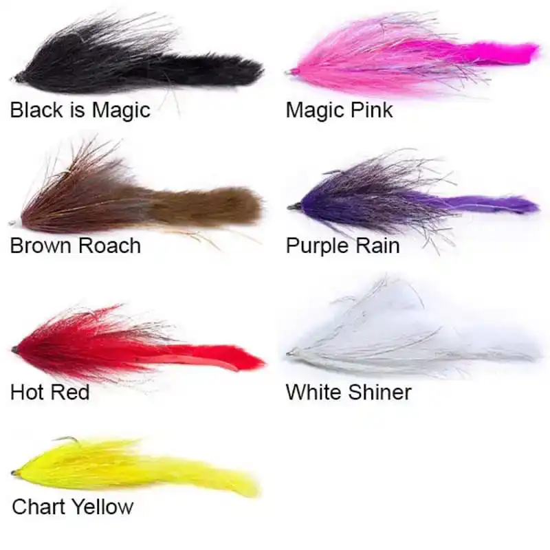 Chacha Tail - Black is Magic