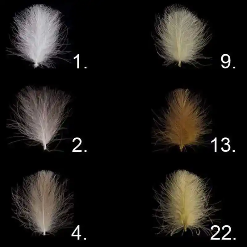 CDC Feathers Ultra Select XL - 15 Dun