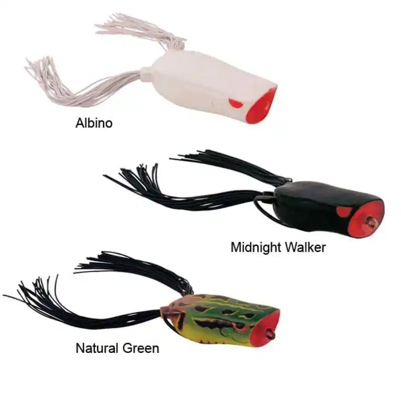 Bronzeye Pop - Albino