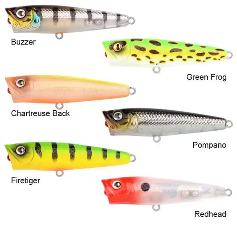 Ikiru Pop 65 - Chartreuse Back