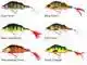 Percy The Perch Crankbait - 10 cm - Bling Perch