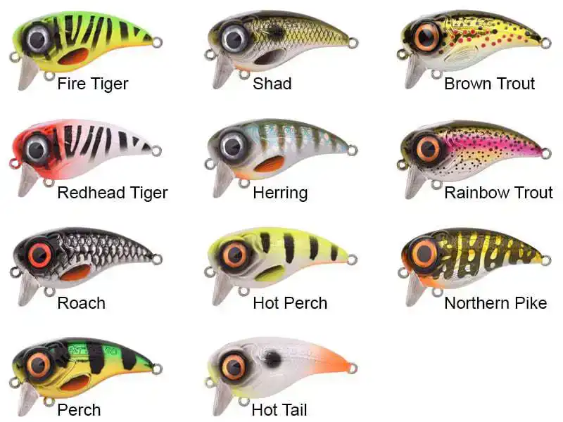 Fat Iris 50 - Brown Trout