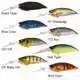IXI Shad TX LBO - Black Hole