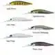 Realis Jerkbait 100 DR - Gold Perch