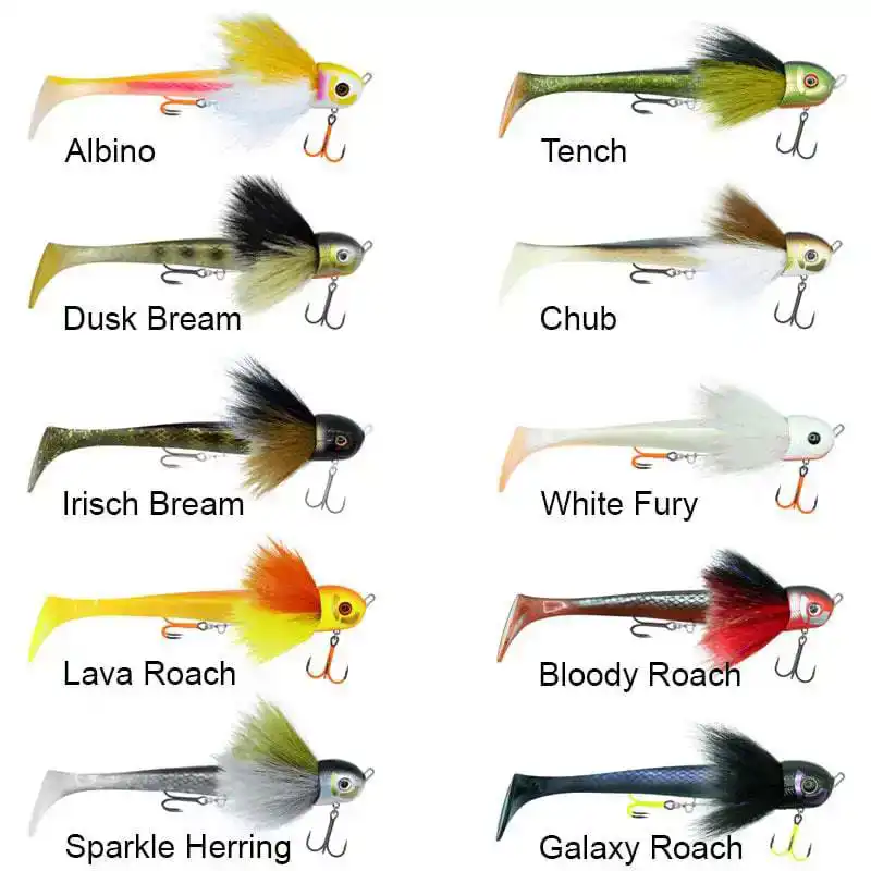 Black Bug Beetle - Albino