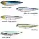 SW Sammy - Metallic Sardine