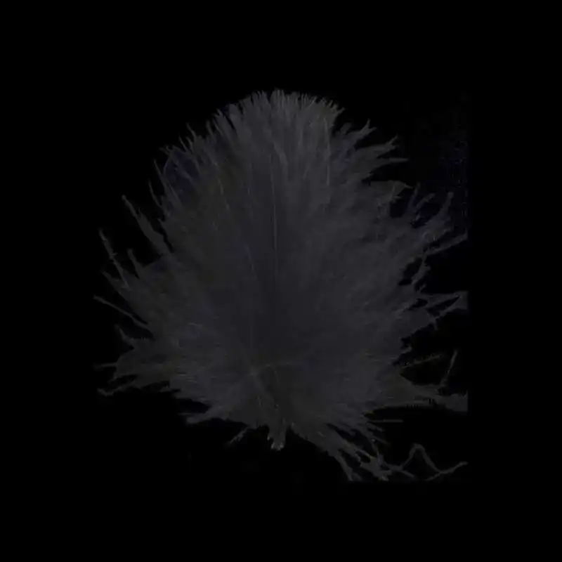 CDC Feathers Super Select - 18 pale pardo