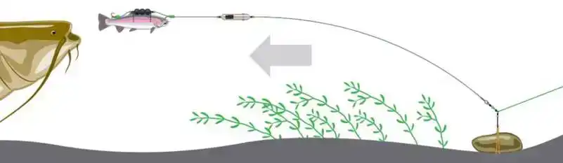 Adjusta Profi River Rig - Deadbait - Maat: L