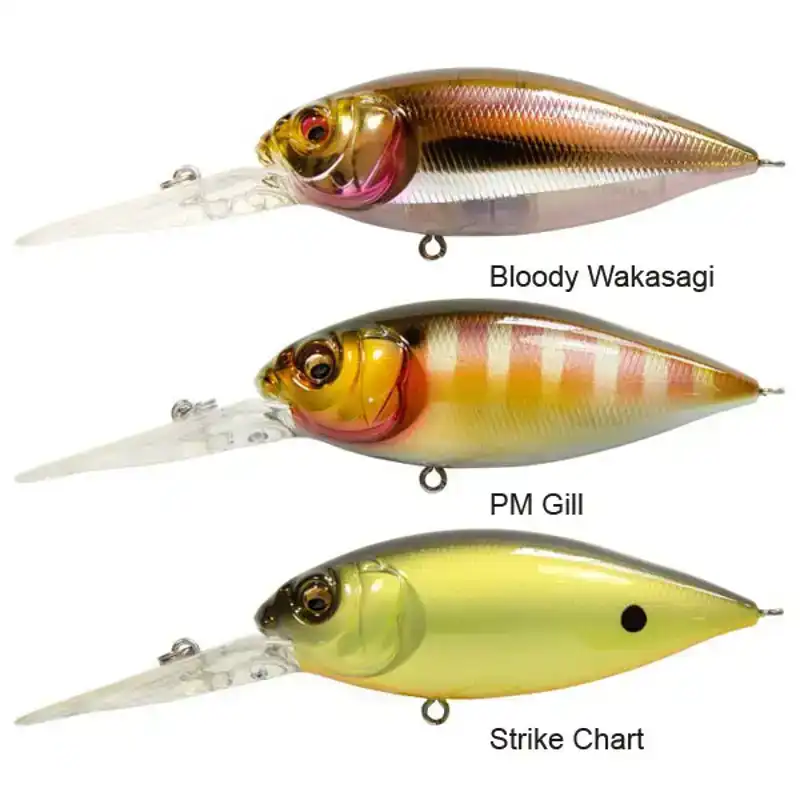 DX Free 3.0 - PM Gill