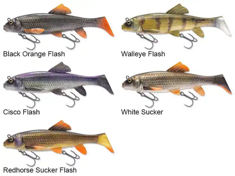 3D Sucker - 23 cm - Cisco Flash