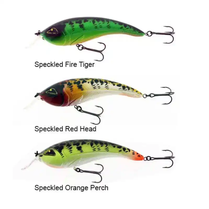 Tyson - Speckled Fire Tiger