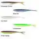 Freaky Fish - Arkansas Shiner