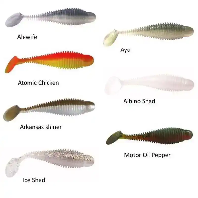 Grubster - 2,75'' - Albino