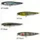 Chubby Pencil 55 - RT Perch