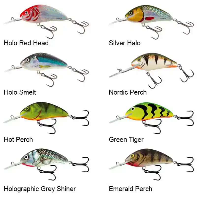 Hornet 9 - Mirror Carp