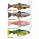 4D Line Thru Trout - 20 cm - Moderate Sink - Fire Trout