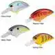 Little John MD Type-R - Citrus Shad
