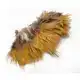 Golden Pheasant Feathers Strung - Red Feathers