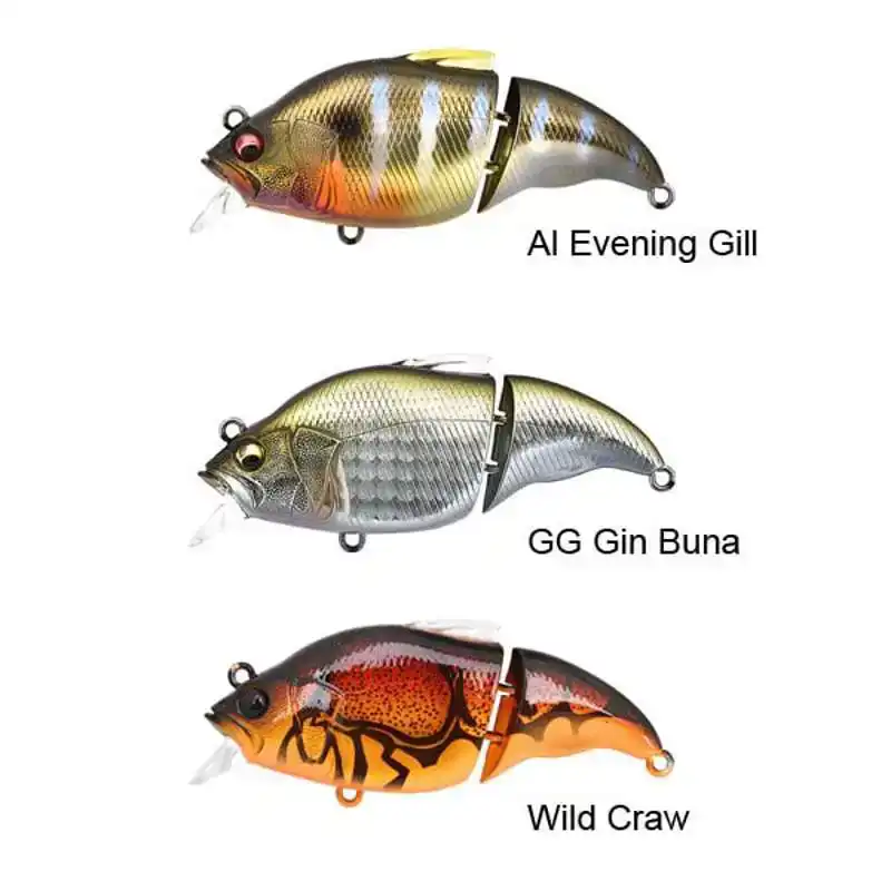 Vibration X Vatalion - AL Evening Gill