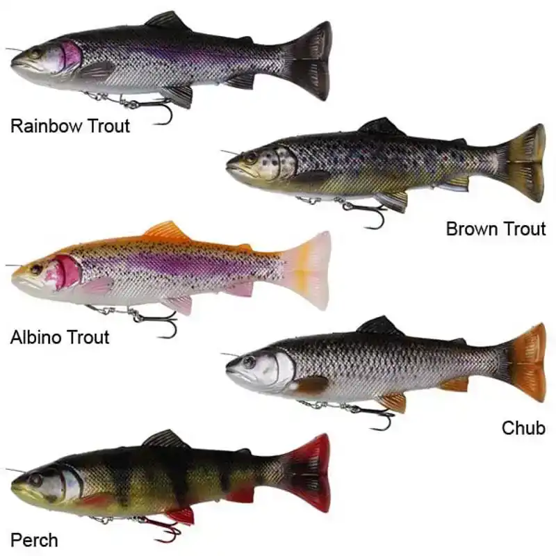 4D Line Thru Pulse Tail Trout - 20 cm - Slow Sink - Rainbow