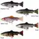 4D Line Thru Pulse Tail Trout - 20 cm - Slow Sink - Rainbow