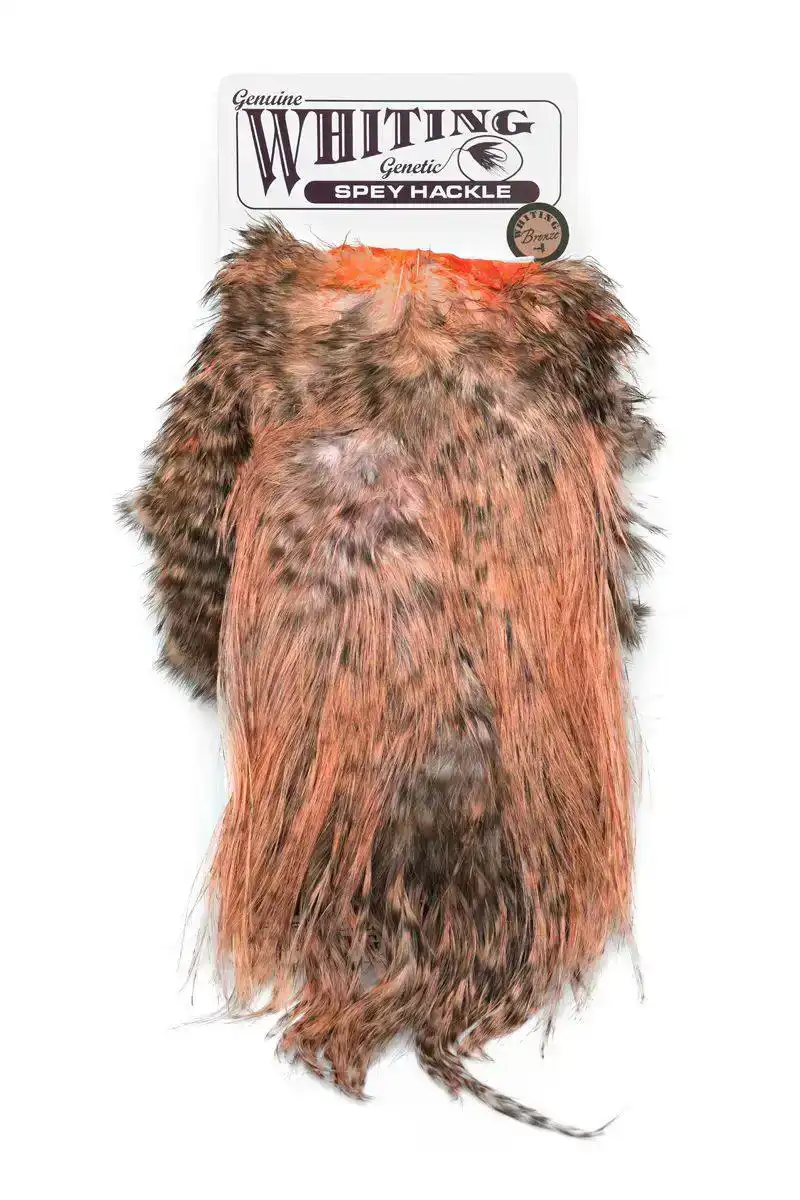 Spey Hackle Rooster Saddle Bronze Grizzly dyed Salmon