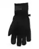 ProDry GORE-TEX Glove + Liner Black L