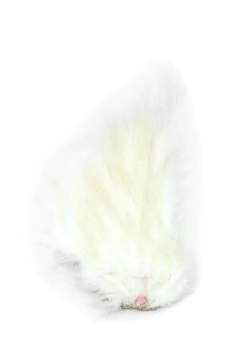 Bird Fur White