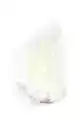 Bird Fur White