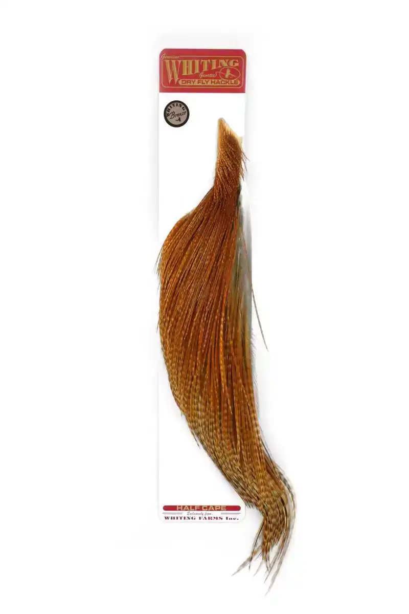 Whiting Bronze 1/2 Cape Barred Dark Ginger