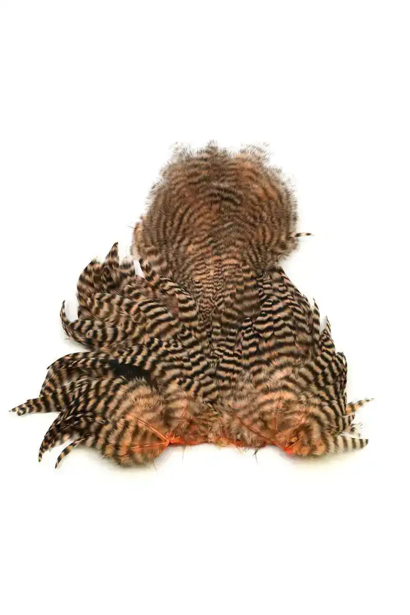 American Hen SH/C Grizzly dyed Salmon