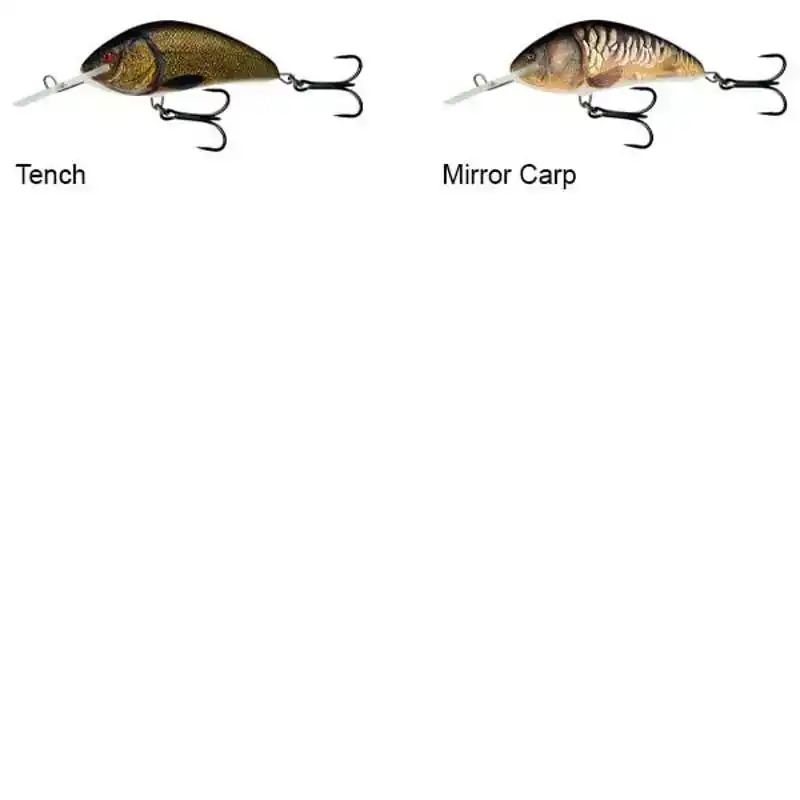 Hornet 9 - Mirror Carp