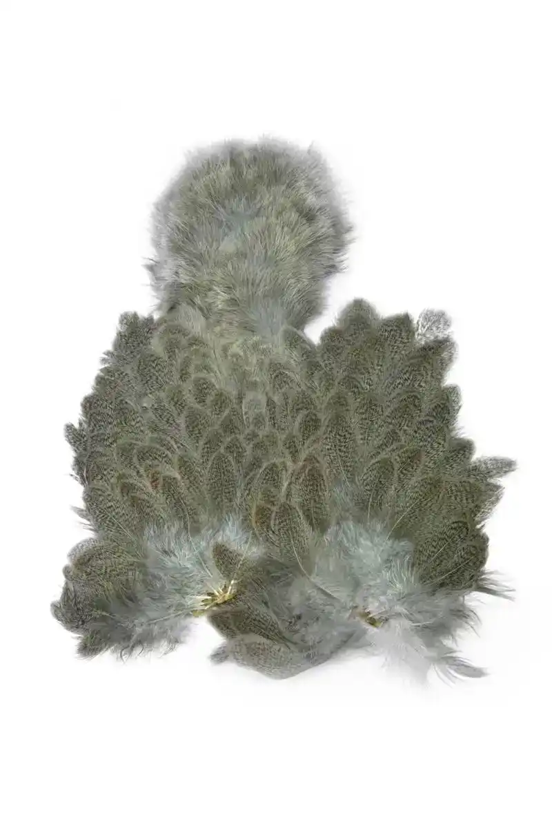 Brahma Hen SH/C Mottled Grey