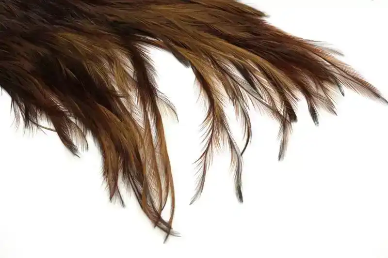 Coq de Leon Bronze Saddle Brown