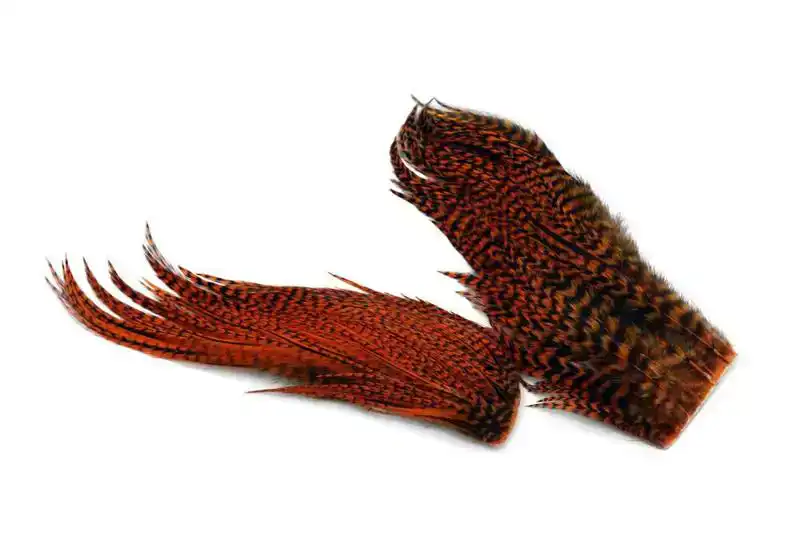 Whiting Bugger Pack Grizzly dyed Burnt Orange