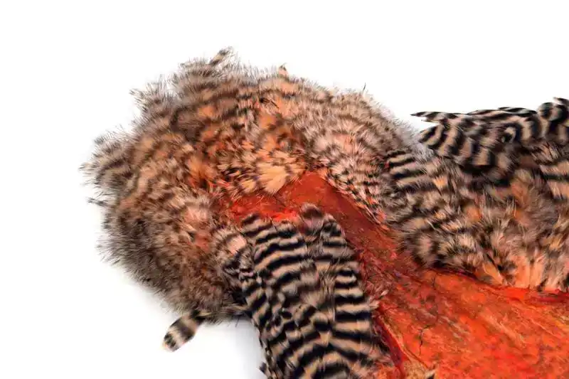 American Hen SH/C Grizzly dyed Salmon