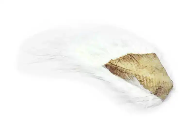 Bird Fur White