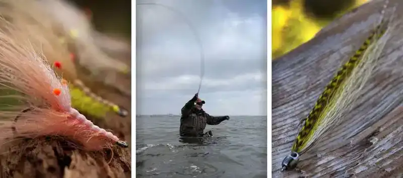 NS150 Curved Shrimp #10